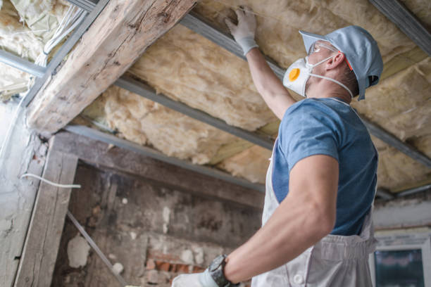 Best Specialty Insulation in Hillsdale, MI